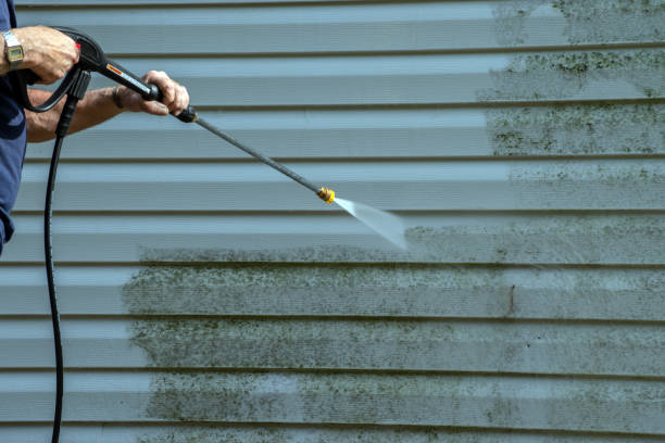 Best Brick and Stone Cleaning in East Pasadena, CA